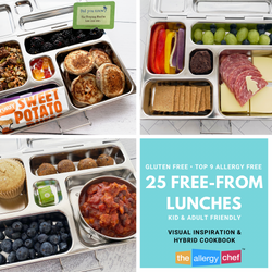 Lunch Box Visual Inspiration Hybrid Cookbook Volume One (Gluten Free, Top 9 Free)