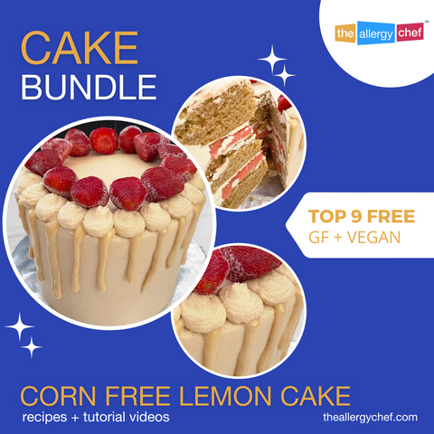 Cake Bundle - Corn Free Lemon Strawberry Ice Cream Cake (Paleo & AIP)