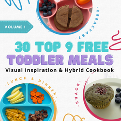 Toddler Visual Inspiration Hybrid Cookbook Volume One (Gluten Free, Top 9 Free)